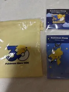 ポケモンスリープ イーブイ ポーチ ミラー アクキー バッジ 巾着
