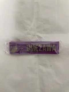 Item thumbnail for item 1aa20084-af34-4b3e-961f-8b4f98579909