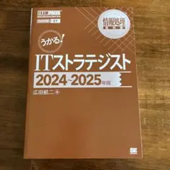 ITストラテジスト 2024-2025 年版
