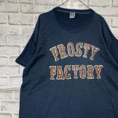 USA製90sヴィンテージTシャツ！シングルステッチ　ブルー半袖古着XL725