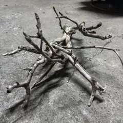 流木 約30cm 枝状 工作素材