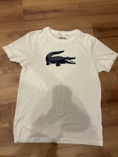 LACOSTE SPORT Tシャツ ホワイト