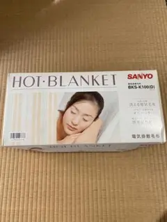 2026年最新】sanyo bksの人気アイテム - メルカリ