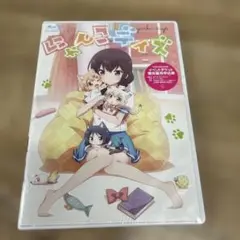 254 にゃんこデイズ DVD 通常盤