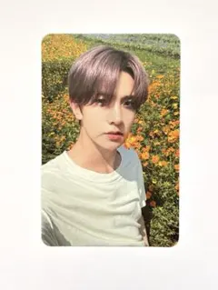 ヒスン タレントカード