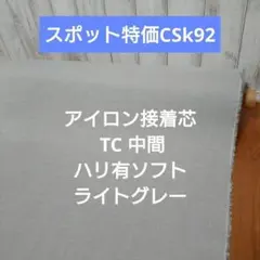 Item thumbnail for item 277a6e96-9682-446f-b206-d4591b930e9a