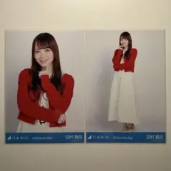 Item thumbnail for item 1f39514f-f14d-49a6-9ff1-c826dfd72833