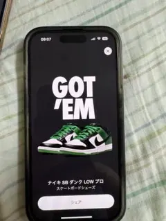 Nike SB Dunk Low Black and Classic Green