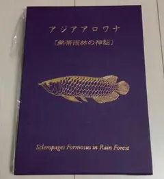 アロワナライブ　創刊号〜9巻　9冊セット アロワナライブ 創刊号〜9巻 9冊セット - メルカリ