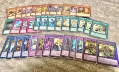 遊戯王 1209海皇水精鱗デッキパーツ - メルカリ
