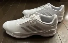 Item thumbnail for item 9c632062-8ce9-4c66-a54e-cdb865c79787