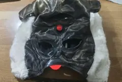 Item thumbnail for item fd144227-4c99-4266-b603-56a07853bdc0