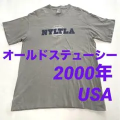 ステューシー　STUSSY オールドステューシー Tシャツ  銀タグ　USA