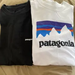 patagonia tシャツ