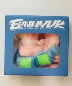 SUPER JUNIOR D&E 銀赫 首爾演唱會 應援棒套