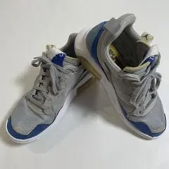 Nike AIR JORDAN ジョーダン　スニーカー グレー/ブルー