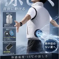 ワークマンWindCore ICE×COLD 冷房服 ペルチェベスト - メルカリ