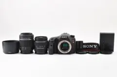 ショット1836回 Sony α65 300mm 望遠ズーム ダブルレンズ - メルカリ