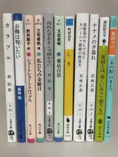 一般文芸小説　１１冊セット　まとめ売り