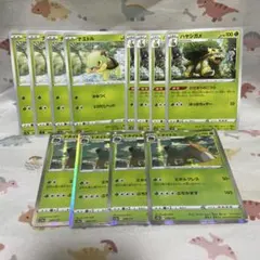 ナエトル　ハヤシガメ　ドダイトス　進化ライン　ポケカ　エクストラ