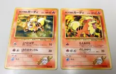 【柄違い2枚組】旧裏 カツラのガーディ（Lv20美品 ＆ Lv17）AI査定済のサムネイル