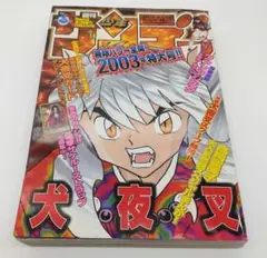 週刊少年サンデー　2003年30号　　他26冊　　冒険野郎 2025年最新】少年サンデー 2003の人気アイテム - メルカリ