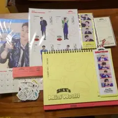 スキズ　2023本国シーグリ