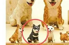 はしもとみお 犬の彫刻　 ガチャ　柴犬黒、柴犬子（黒）