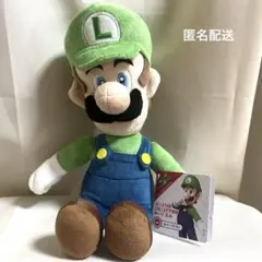 スーパーマリオ　オールスターコレクションぬいぐるみ　ルイージ（Sサイズ）のサムネイル