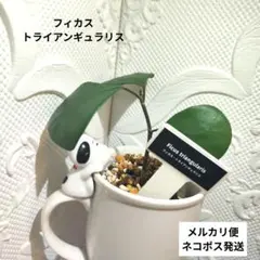 su_aqua様 リクエスト 2点 まとめ商品