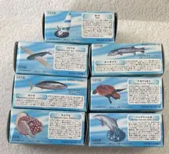 AQUATALES 黒潮コメッコ フィギュア 7種セットのサムネイル