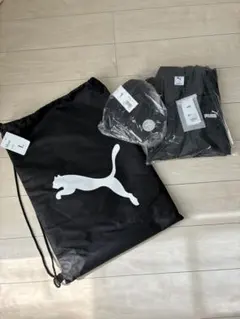 PUMA ジャージ上下 Lサイズ 収納バッグ付き