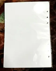 シール帳　両面剥離紙　A5 リフィル 20枚