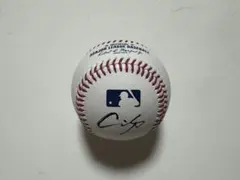 大谷翔平 山本由伸 佐々木朗希 MLB 公式球 試合球 直筆サインボール
