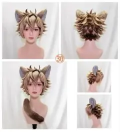 ラギー・ブッチ ウィッグ コスプレ ツイステ つけ耳 尻尾 ㉚