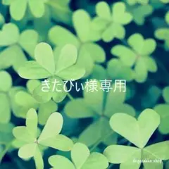 きたびぃ様専用ページです(^^♪