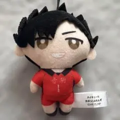 ハイキュー 黒尾鉄朗 ぬいぐるみ マスコット ぬいぷりけmini - メルカリ