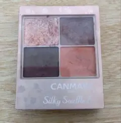 キャンメイク　シルキースフレアイズM01