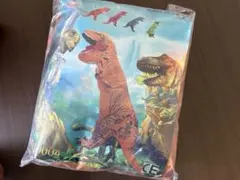 Item thumbnail for item 81d2b4ce-0843-467f-b8f0-5ab27ea4e769