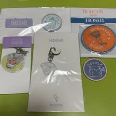 セブチ SEVENTEEN ツアー ホシ バラ売り可 2020 まとめ売り