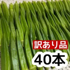 B40 高知県産 オクラ 野菜 産地直送 採れたて 即購入OK i1のサムネイル