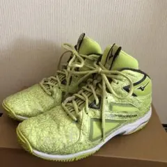 MIZUNO ウェーブダイバース　24.5cm 替紐付き