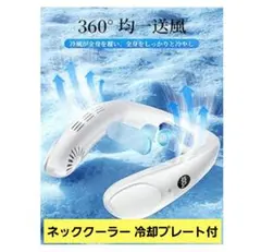 Item thumbnail for item ddc416af-05f9-4406-94fa-6e05eaa29382