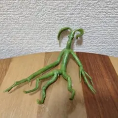 ファンタスティックビースト SF