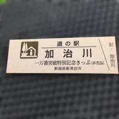 2026年最新】道の駅 記念きっぷ ゴールド切符の人気アイテム - メルカリ