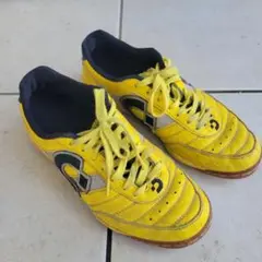 デスポルチ25.5