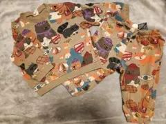 動物柄 セットアップ