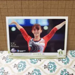 BBM 2012 REAL VENUS　田中理恵　ジャージカード　200枚限定 BBM 2012 REAL VENUS 田中理恵 ジャージカード 200枚限定