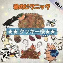 A4サイズ　未カット　秋のピクニック　パネルシアター