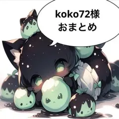 koko72様 リクエスト 2点 まとめ商品